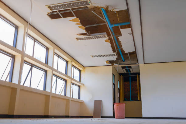 Best Water damage restoration near me  in Braddock Hills, PA
