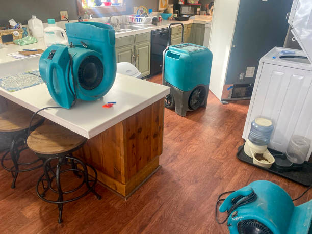Best Water damage restoration near me  in Braddock Hills, PA