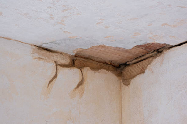 Best Ceiling water damage repair  in Braddock Hills, PA