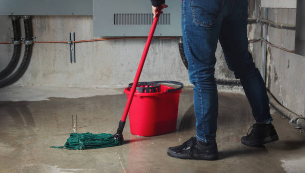 Water damage restoration mold remediation in Braddock Hills, PA