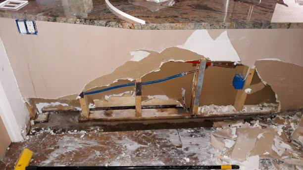 Best Flood damage cleanup  in Braddock Hills, PA