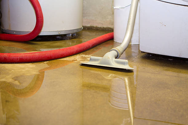 Best Flood restoration services  in Braddock Hills, PA