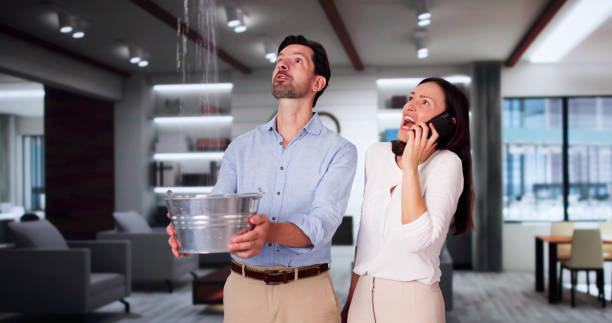  Braddock Hills, PA Water damage restoration Pros